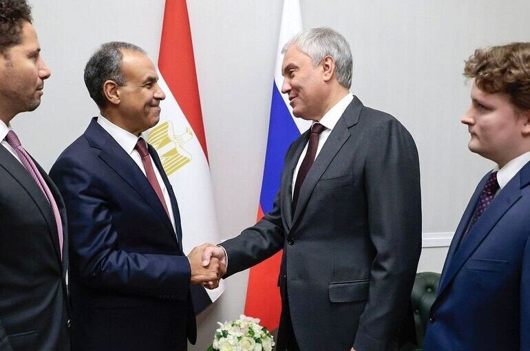 Володин обсудил с главой МИД Египта развитие межпарламентского взаимодействия