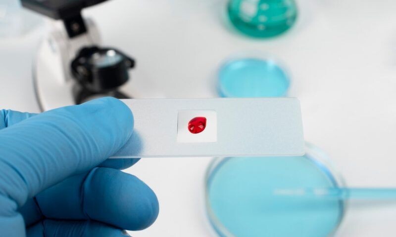    Фото freepik.com