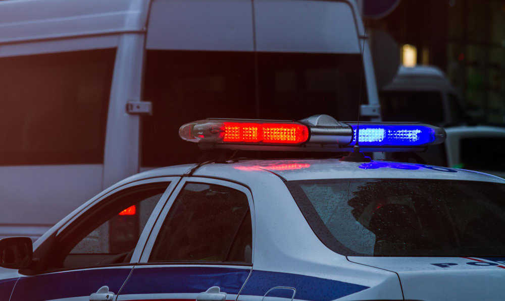    ru.freepik.com / daniel-007