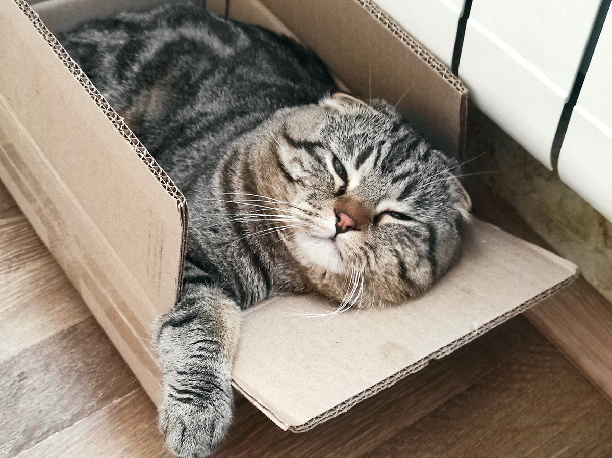 Ну, конечно же, прав!!!