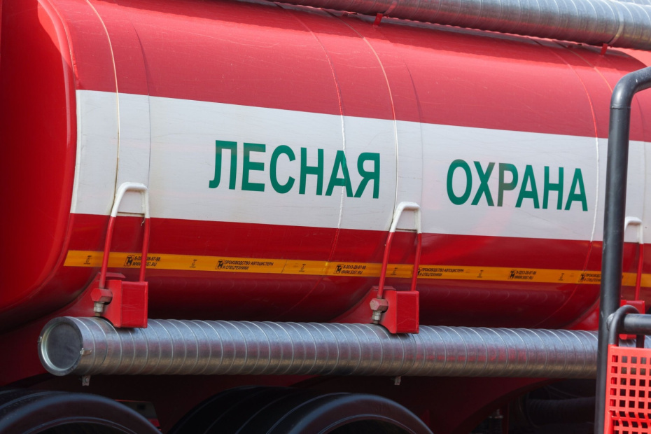    Сергей Петров/NEWS.ru