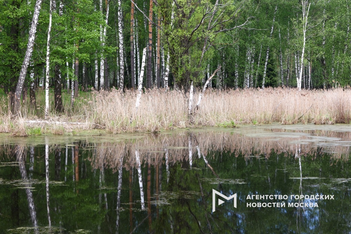 Фотограф: Ярослав Чингаев