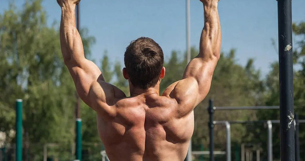 Тренер назвала планку и подтягивания лучшими упражнениями для укрепления спины