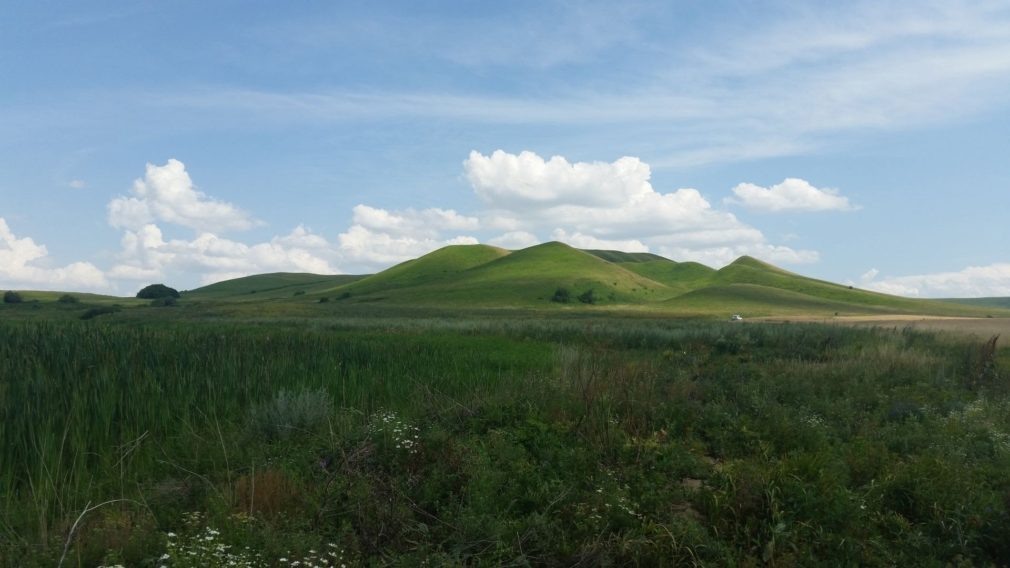    Фото: администрация Андроповского округа Михаил Маслов