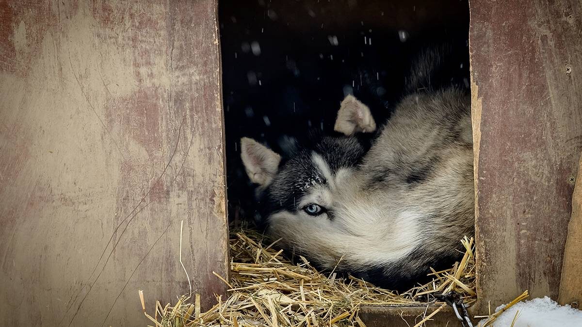    Фото: Дмитрий Дубинский / Вечерняя Москва