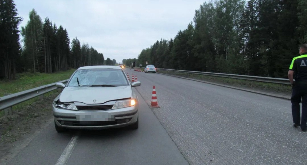 Ехал в состоянии наркотического опьянения: в Ярославской области вынесли приговор водителю, насмерть сбившему рабочего