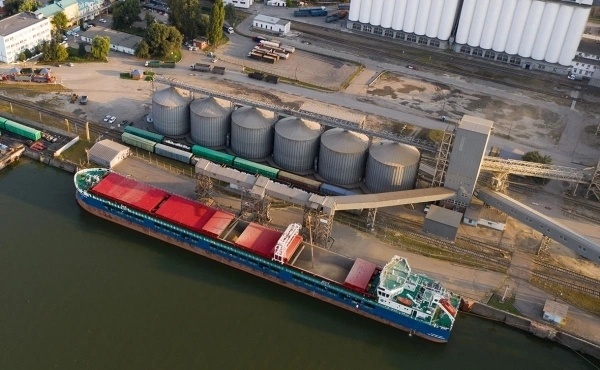     Мисырга безнең ашлык китәчәк