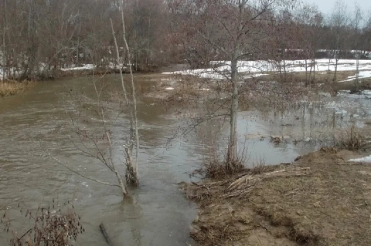    Из-за паводков в Ярославской области введен режим повышенной готовности