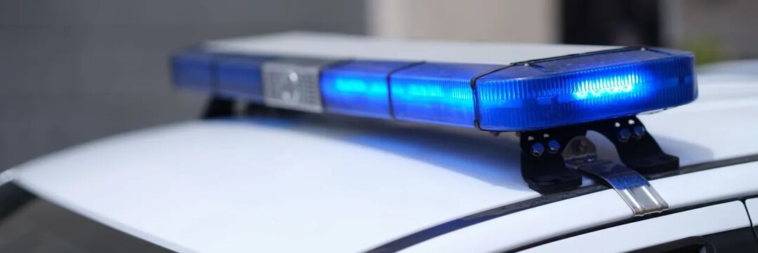 Требовал алкоголь и полуфабрикаты: в Петербурге задержали мужчину с "гранатой"