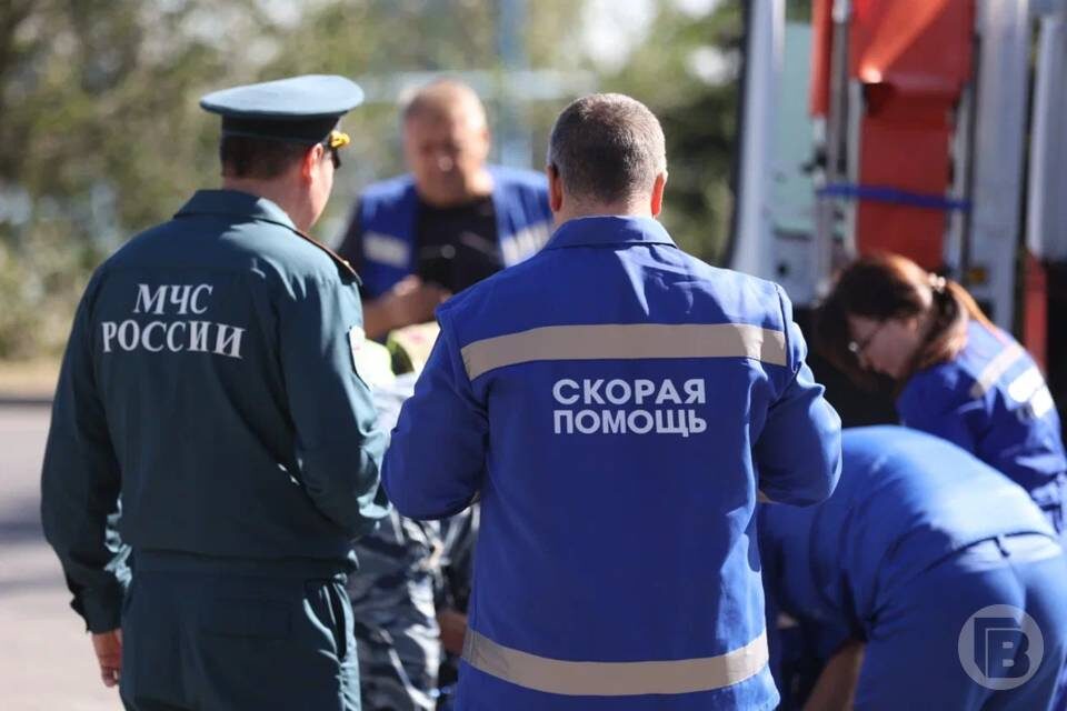    Фото: Дмитрий Рогулин/"Городские вести"