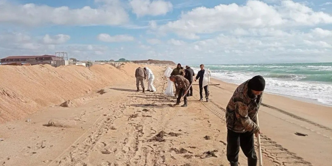 Почти 800 человек продолжают уборку в зоне мазутного ЧС на Кубани