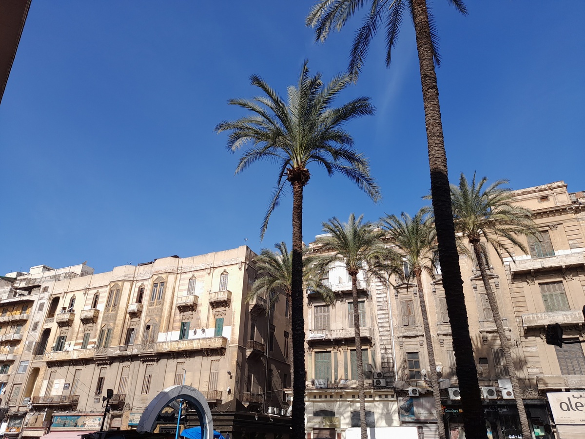 Александрия