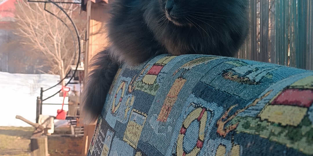 Начались дожди... Развлечения и покупки на больничном 😊