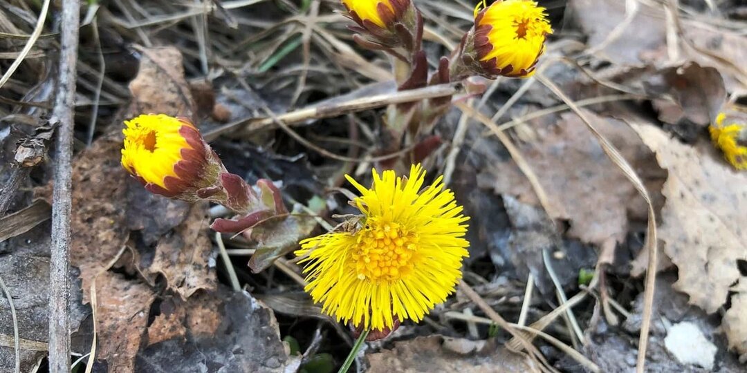 Погода в Стерлитамаке на субботу, 4 апреля 2026 года