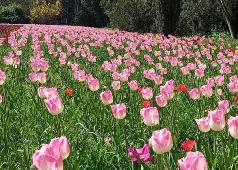 
📷
📷
📷
📷
📷
📷
