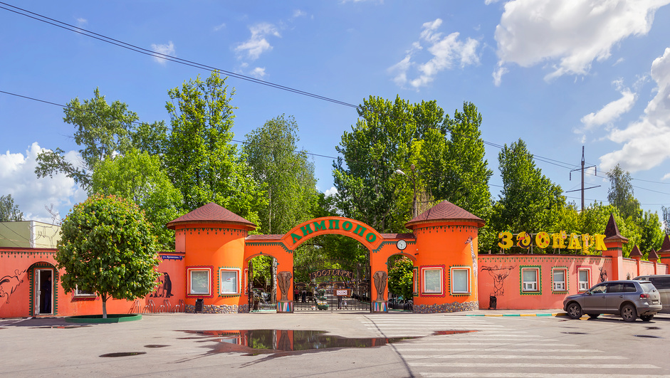 Зоопарк «Лимпопо» в Нижнем Новгороде: путешествие в мир животных со вкусом приключения