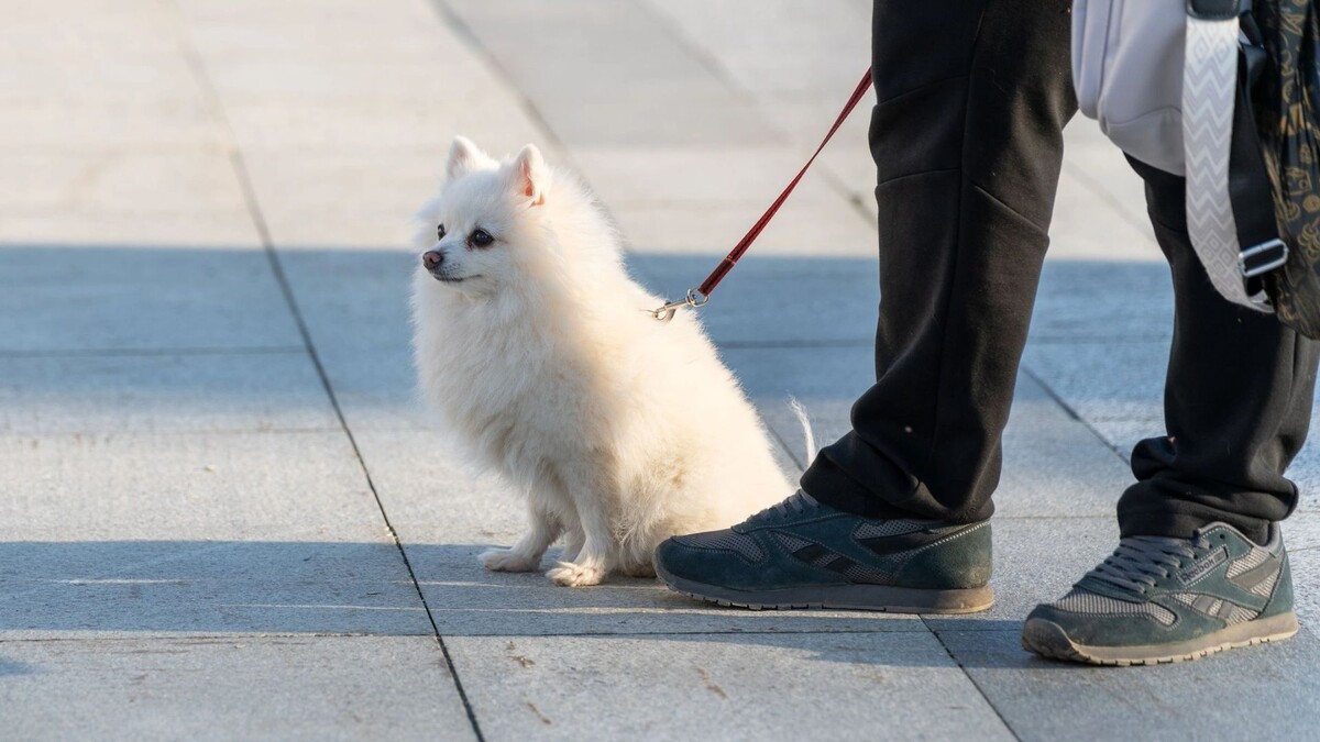    Фото: Сергей Зубков / «Ямал-Медиа»