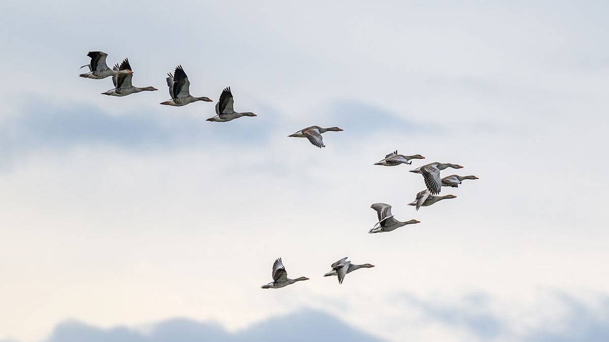    Фото: shutterstock