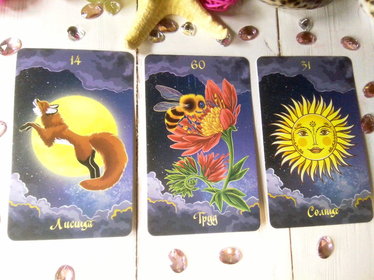 Фото автора канала.