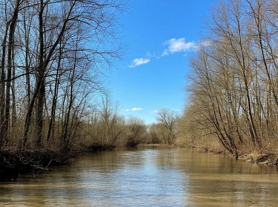Изображение сгенерировано нейросетью. 