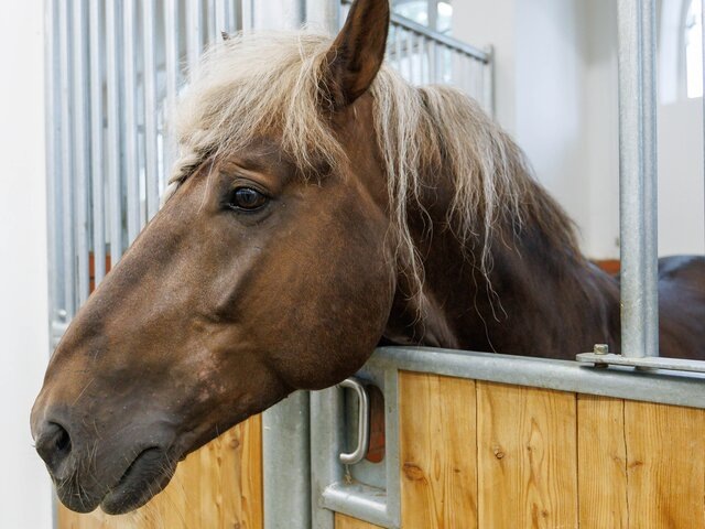    Фото: портал мэра и правительства Москвы/Александра Липкина