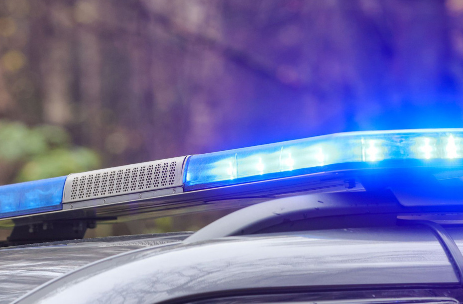    Наталья Шатохина/NEWS.ru