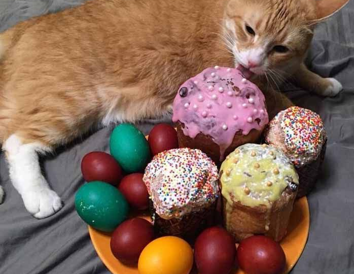 Как оригинально украсить пасхальный кулич: 8 простых и бюджетных способов