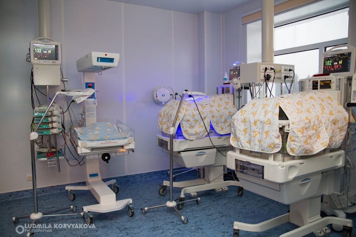    фото: © Людмила Корвякова, "Столица на Онего"