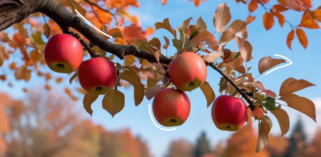 Обработка яблони весной от болезней и вредителей: когда и чем опрыскивать