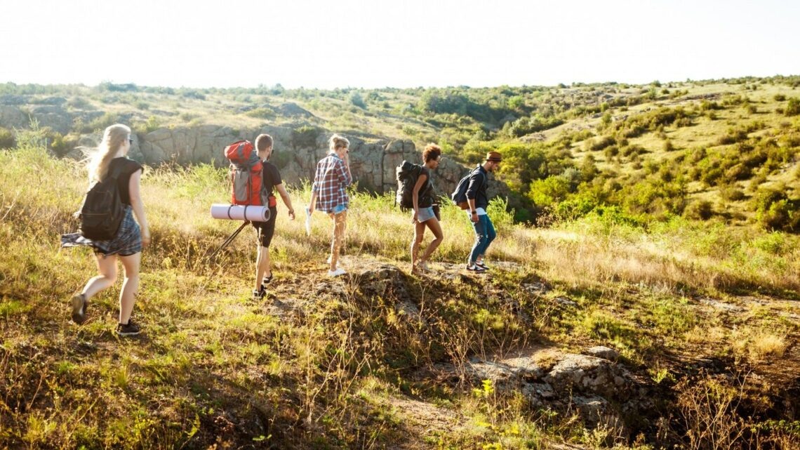    фото: cookie_studio / freepik.com