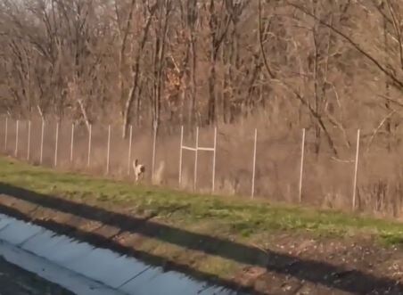     © фото и видео Минприроды Курской области