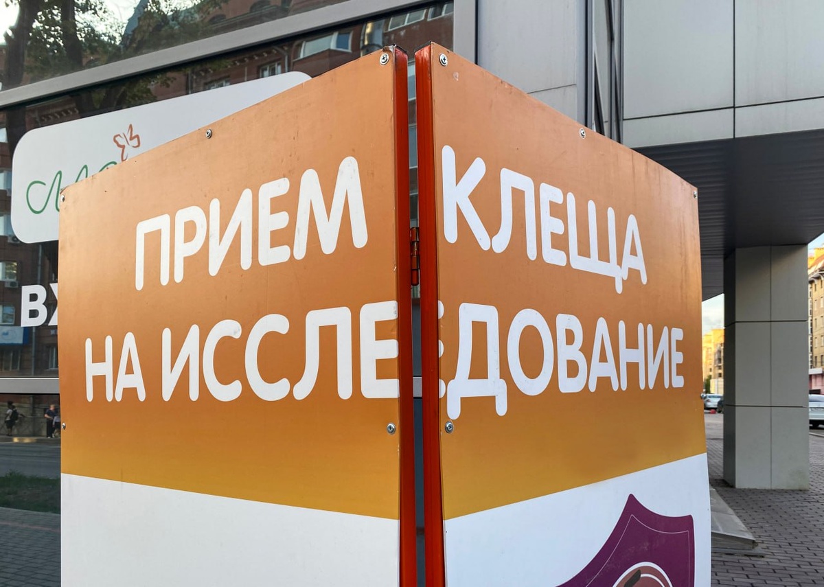    © Константин Долгановский