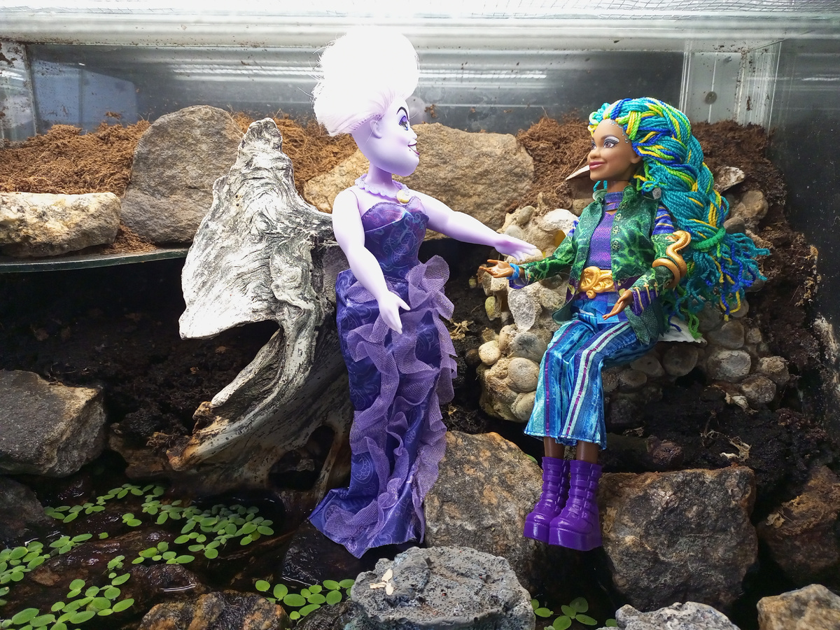 Урсула и Ульяна. 