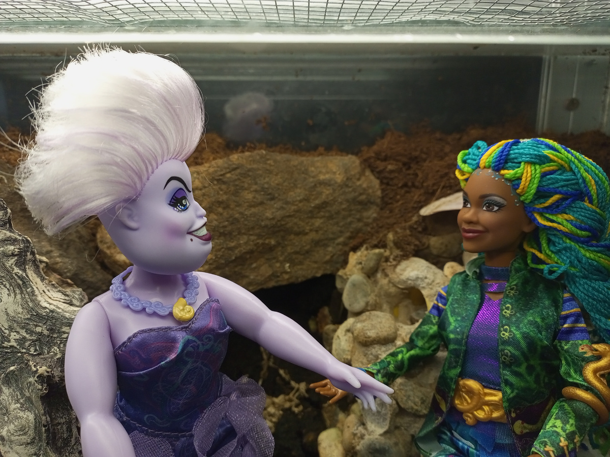 Урсула и Ульяна. 