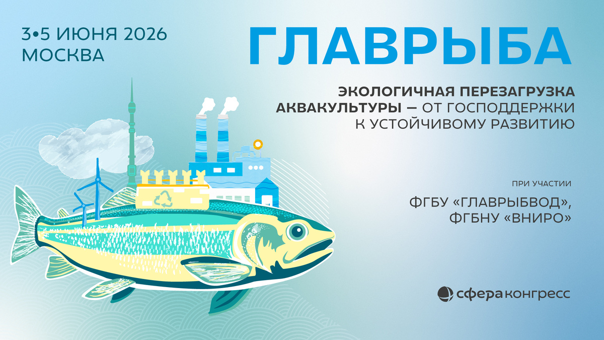 Фото: «Сфера Медиа»