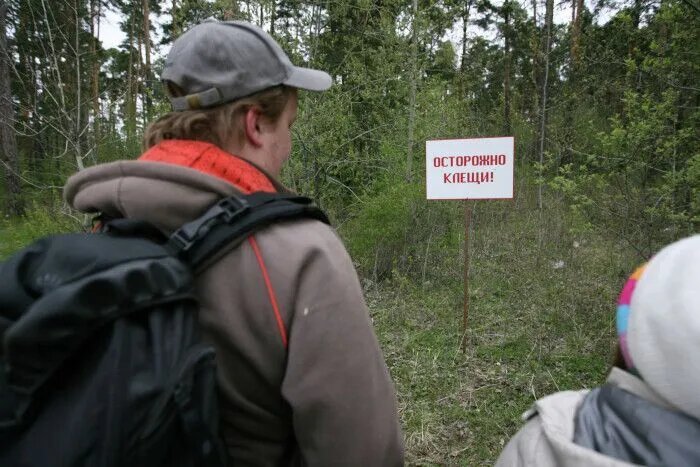    © РИА Новости. Павел Лисицын