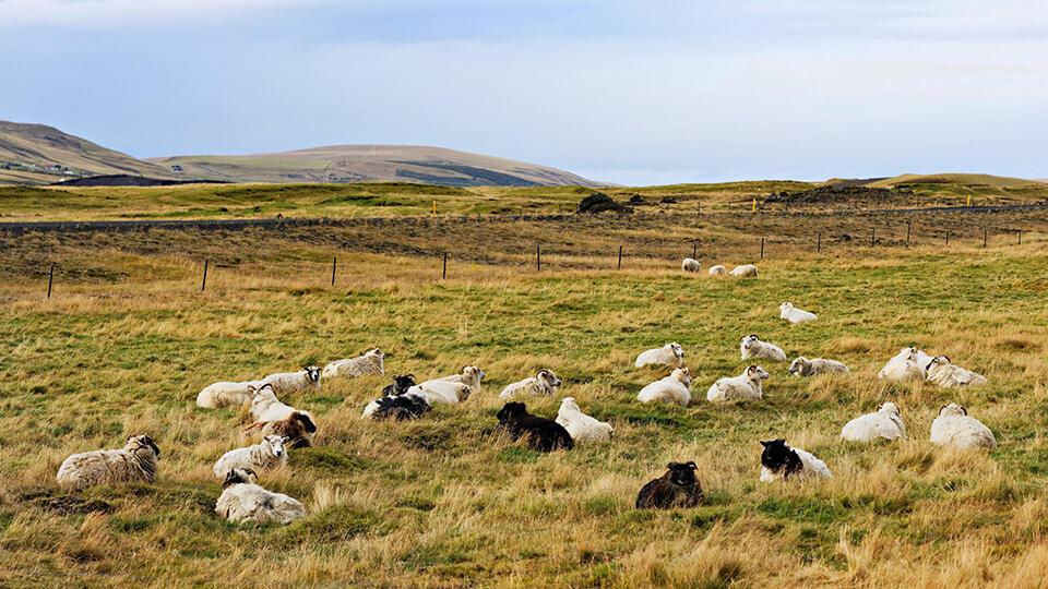 Фото: © TASS/dpa/Paul Mayall