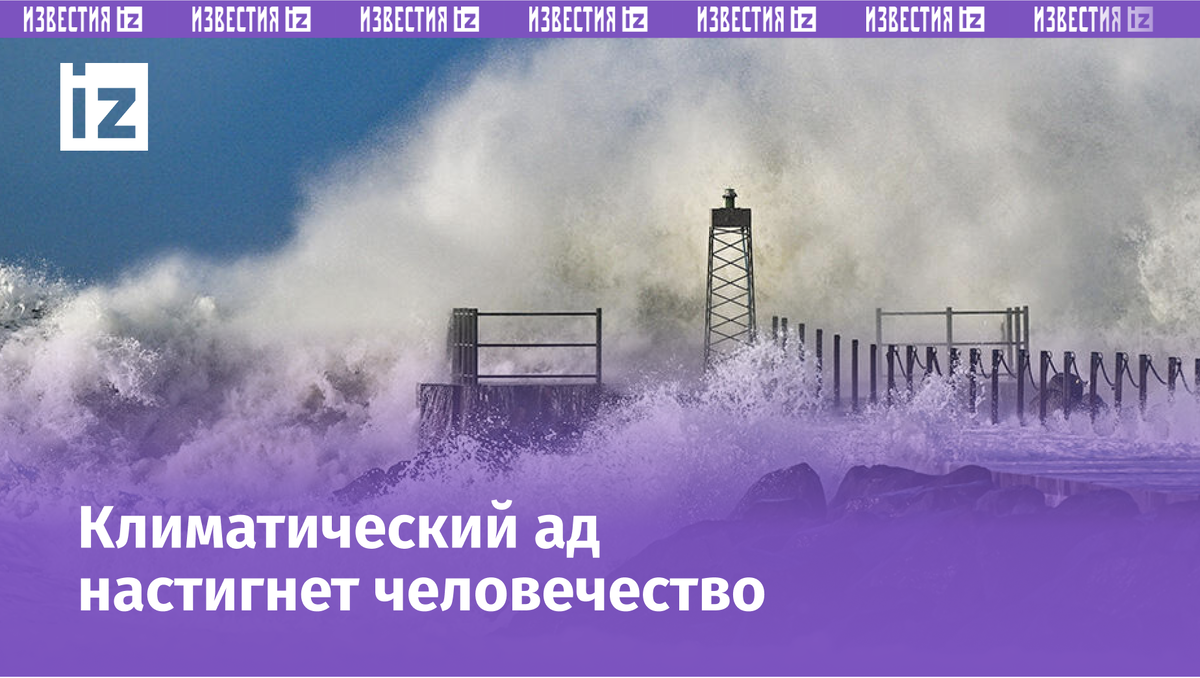 Фото: © TASS/dpa/Patrick Pleul
