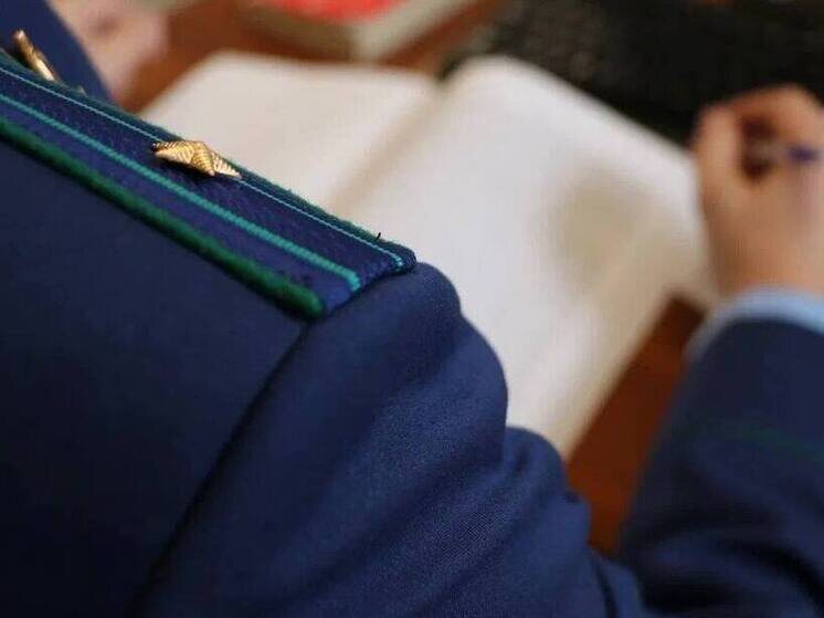     Фото: t.me/sledcom_press