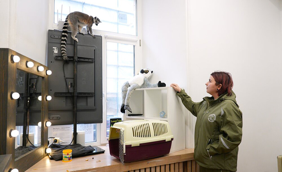    ©Агентство городских новостей "Москва"