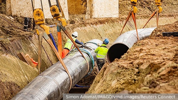     Фото: Simon Adomat/IMAGO/vmd-images/Reuters Connect   
 Текст: Ольга Самофалова