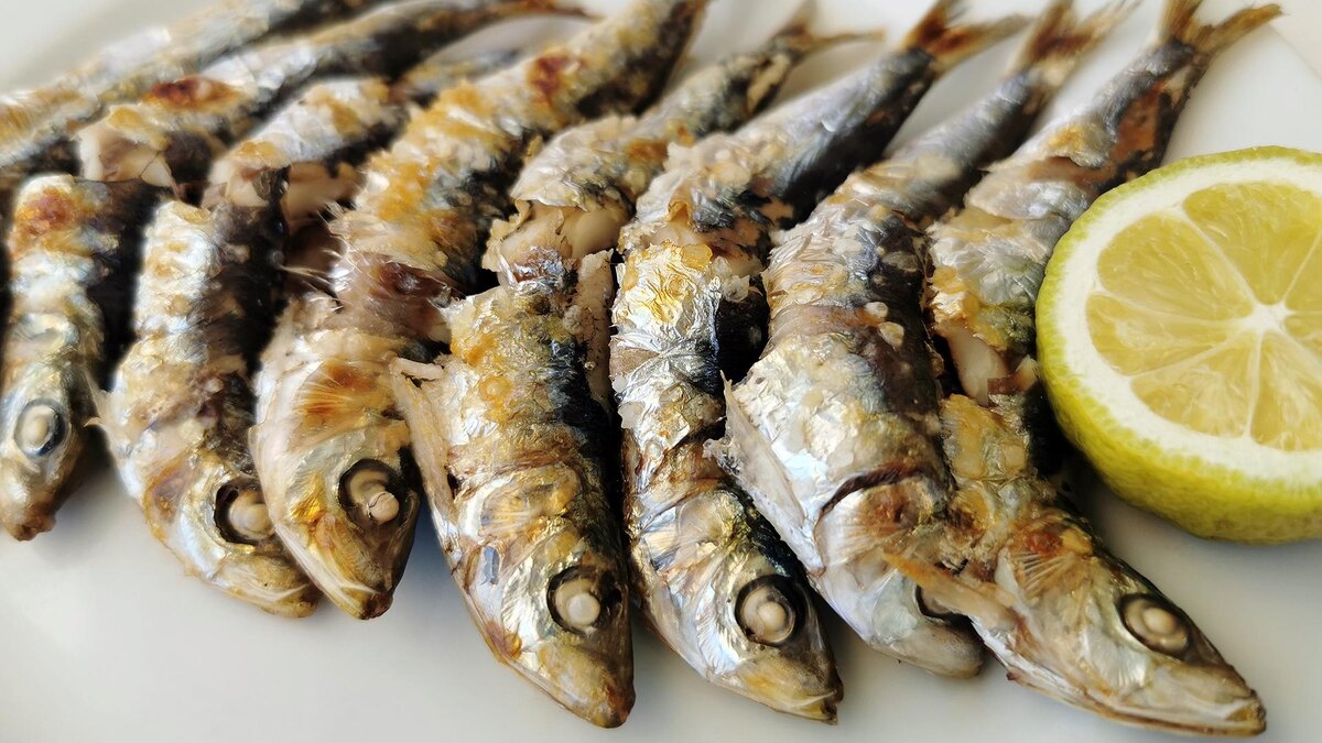 Фото: freepik.com/wirestock