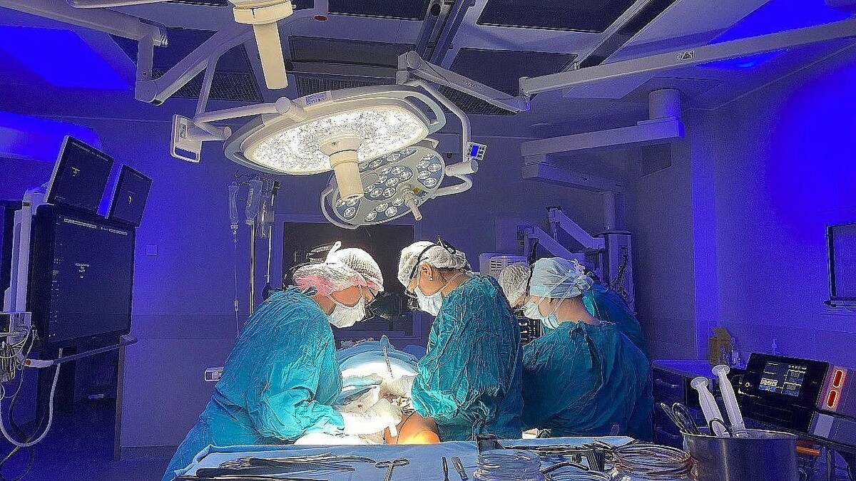    Фото: телеканал «Краснодар»