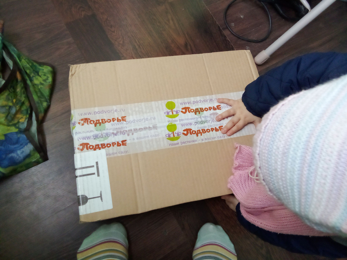 В статье все фото авторские. "Помогает" маме))