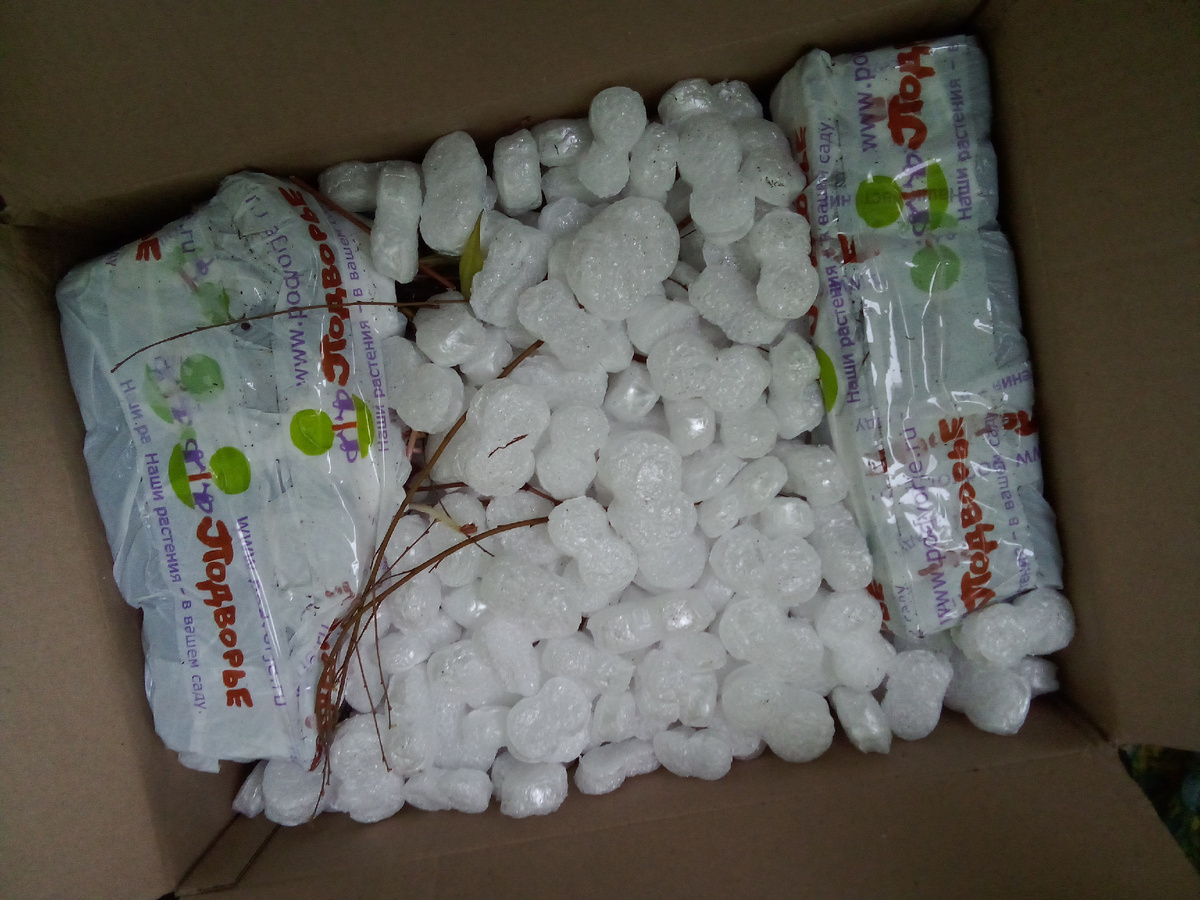 Вот так внутри