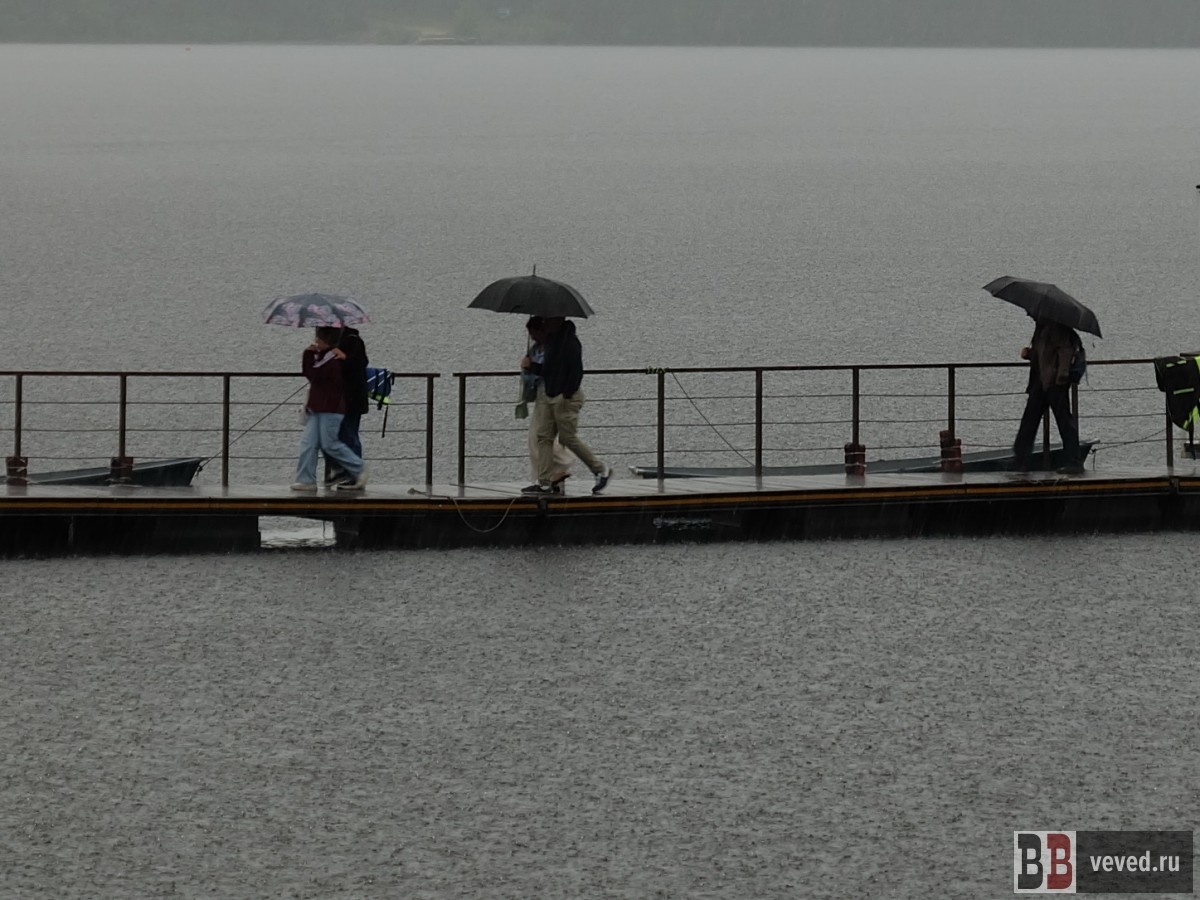     Фото: Владислав Постников / Вечерние ведомости