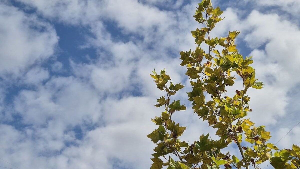    Фото: телеканал «Краснодар»