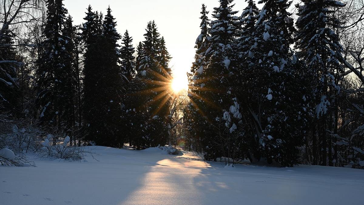    Фото: Анатолий Цымбалюк / Вечерняя Москва