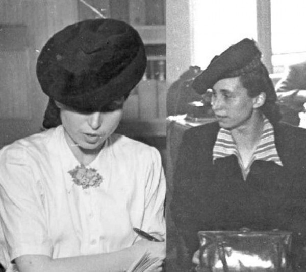 Фото из свободных источников.