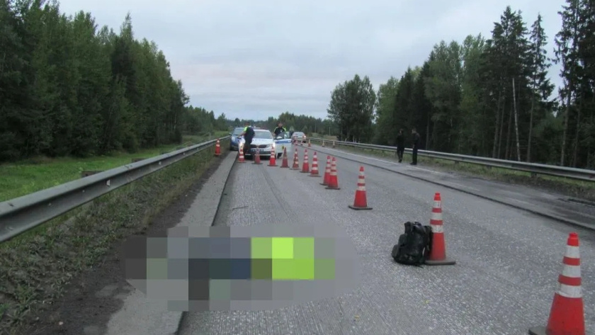    прокуратура ЯО